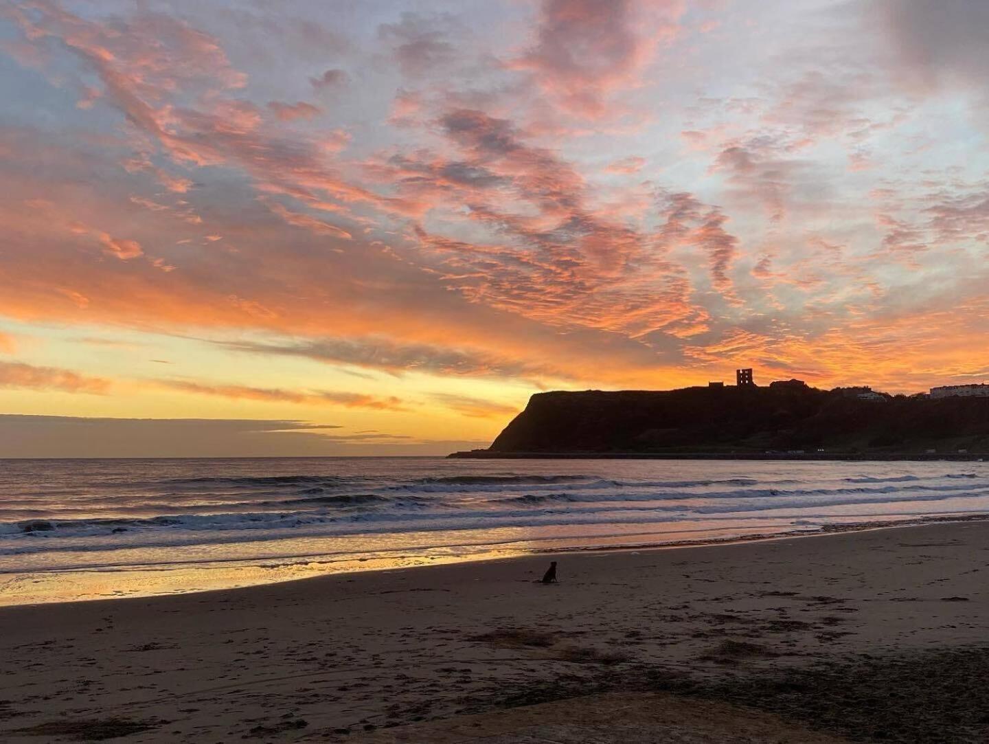 Seascape - Fantastic Location With Sea Views! Scarborough Exterior foto